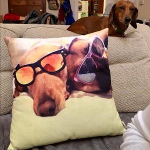 New Dachshund / weenie dog / pug cushion